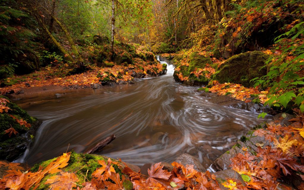When Oregon’s Fish and Wildlife Commission Lost its Marbles