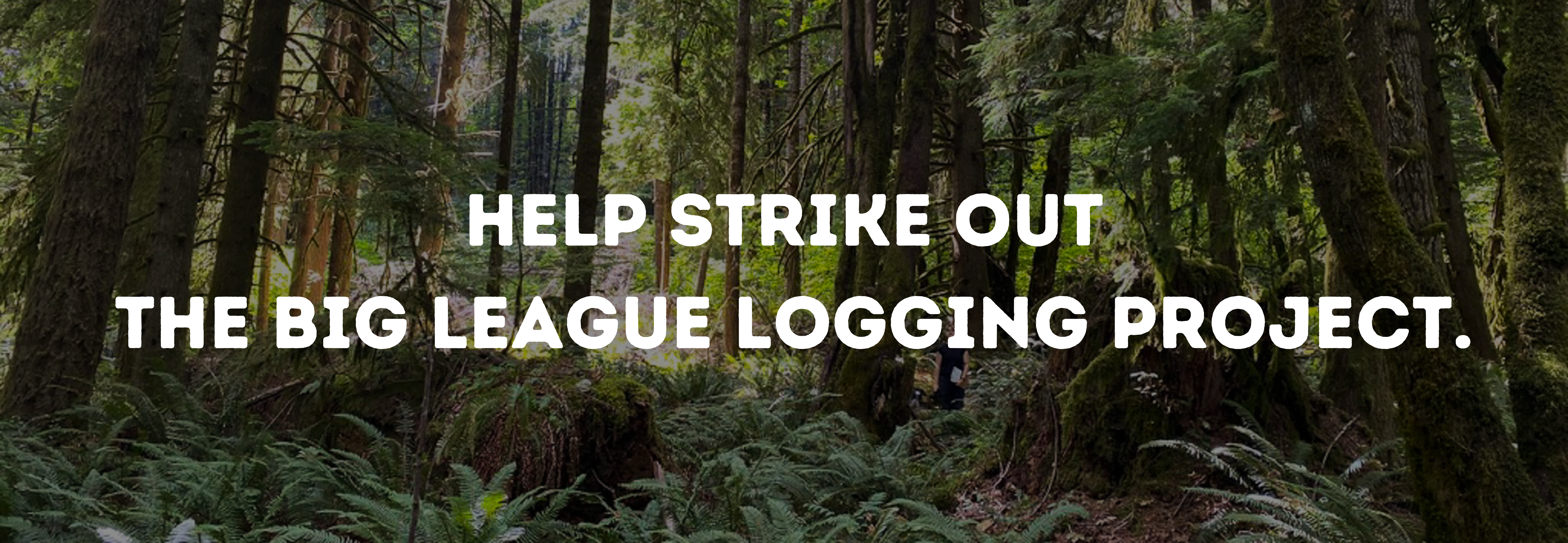 Slider reads: Help Strike Out The Big League Logging Project.