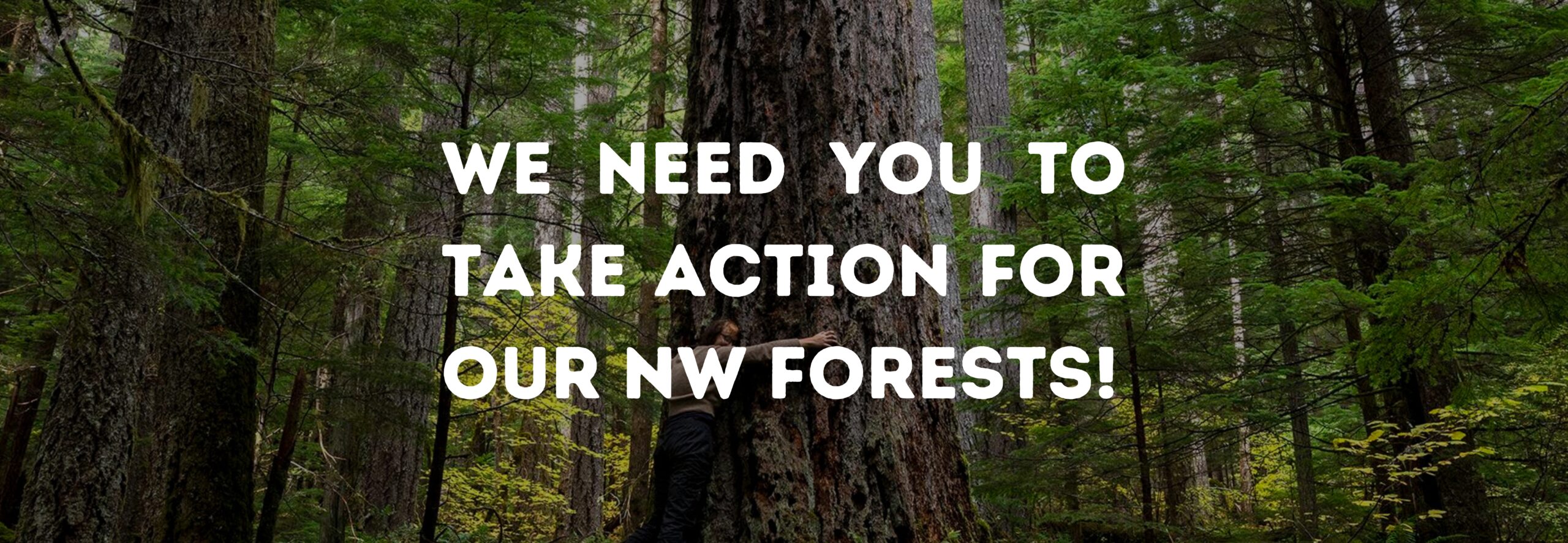 We Need You To Take Action for NW Forests