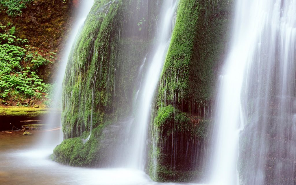 Press Release: Oregon House of Representatives Passes Suction-Dredge Mining Reform Bill
