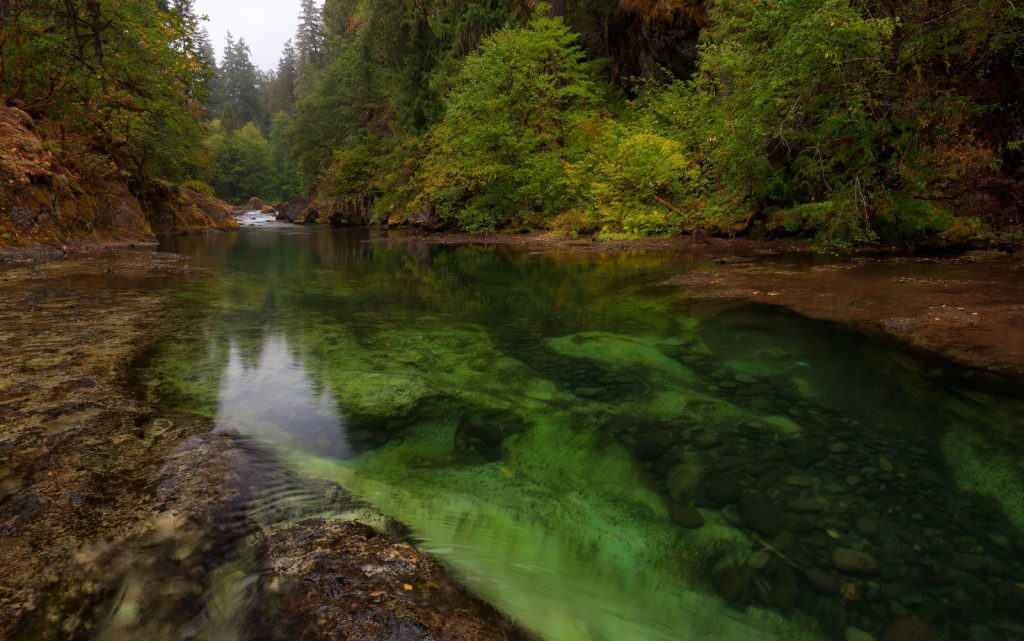 Press Release: WA Fish and Wildlife Commission Orders Rulemaking to Require Permits for Suction Dredge Mining
