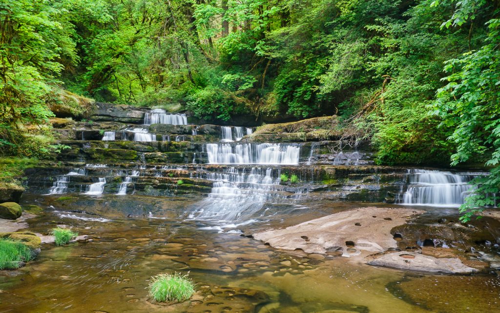 Press Release: Oregon Wildlands Legislation Advances Through Key Senate Committee