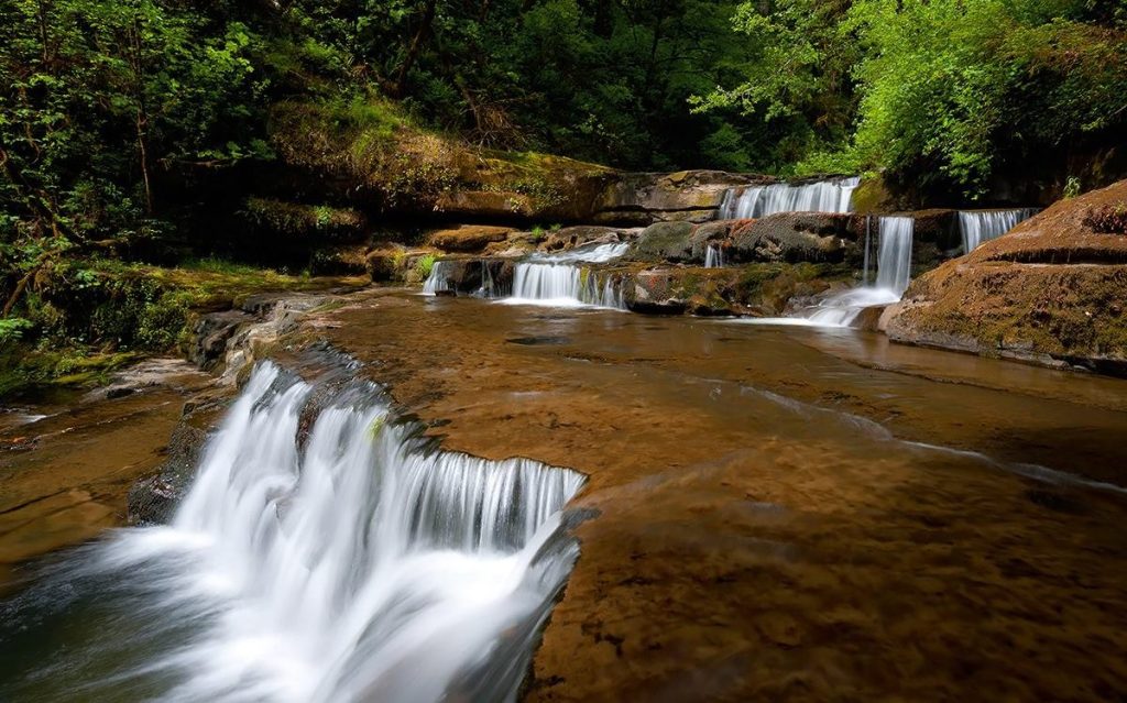 Press Release: Oregon Wilderness and River Protections Signed into Law by President