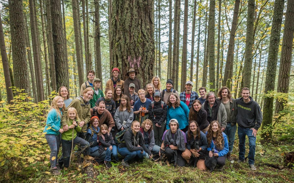 Press Release: BLM Attempting to Clearcut Thurston Hills Again Despite Fire Risk to Springfield