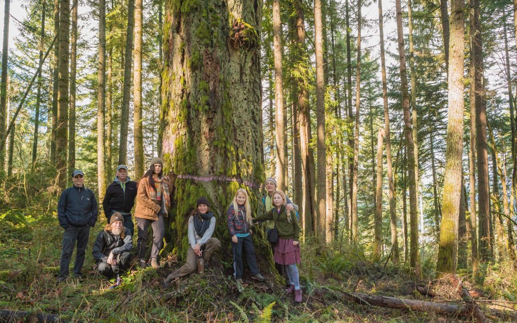 BLM is Back at it! Help Halt Thurston Hills Timber Sale