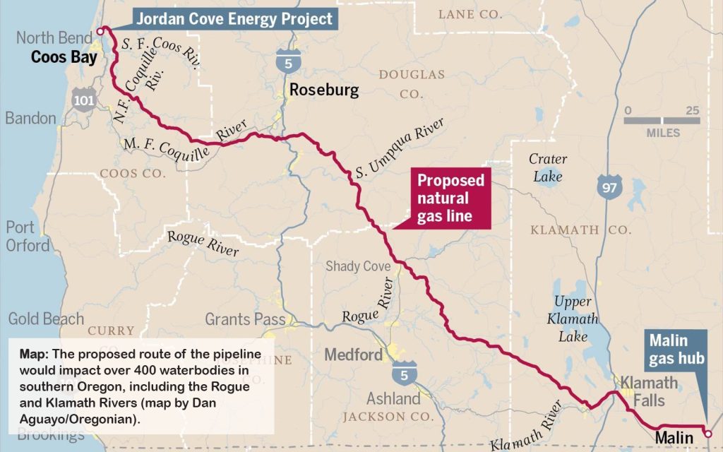 BLOG: Field Checking Old-Growth on the Jordan Cove LNG Pipeline Path