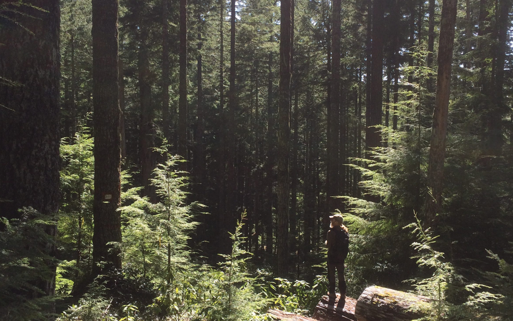 BLOG: Environmental Rollbacks Gut Core Conservation Laws