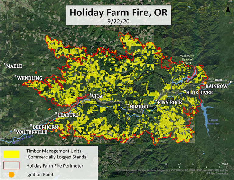 The Holiday Farm Fire was largely fueled by previously clearcut 