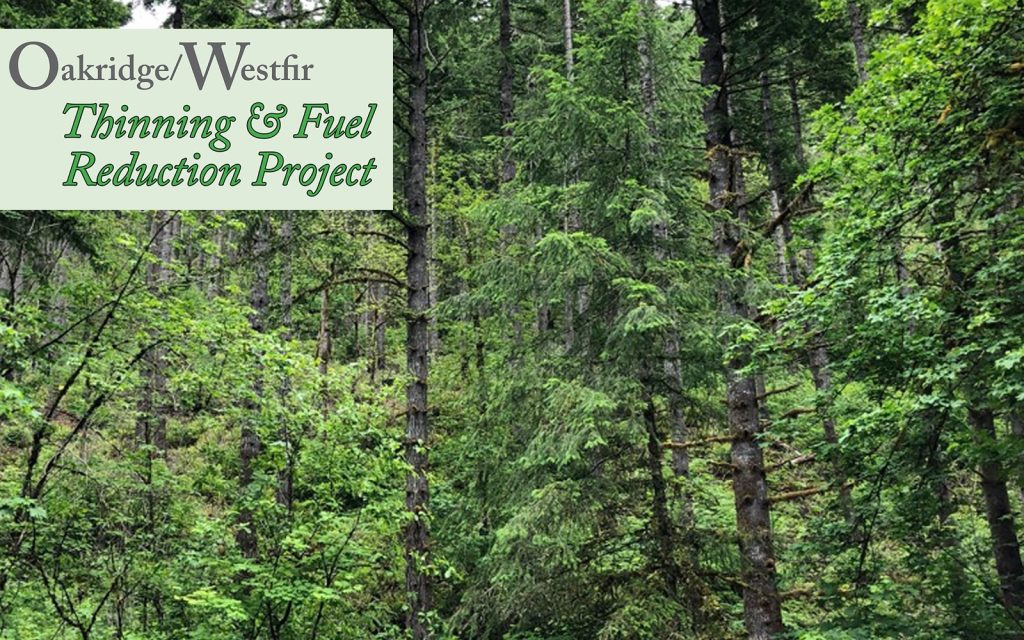 BLOG: Reporting Back from the Oakridge/Westfir Field Visit