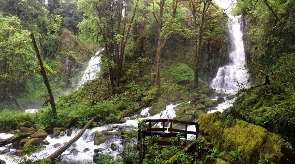 Hundreds of Businesses Across Oregon Urge Congress to Pass the River Democracy Act
