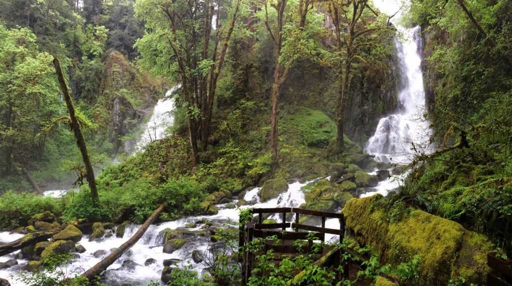 Hundreds of Businesses Across Oregon Urge Congress to Pass the River Democracy Act
