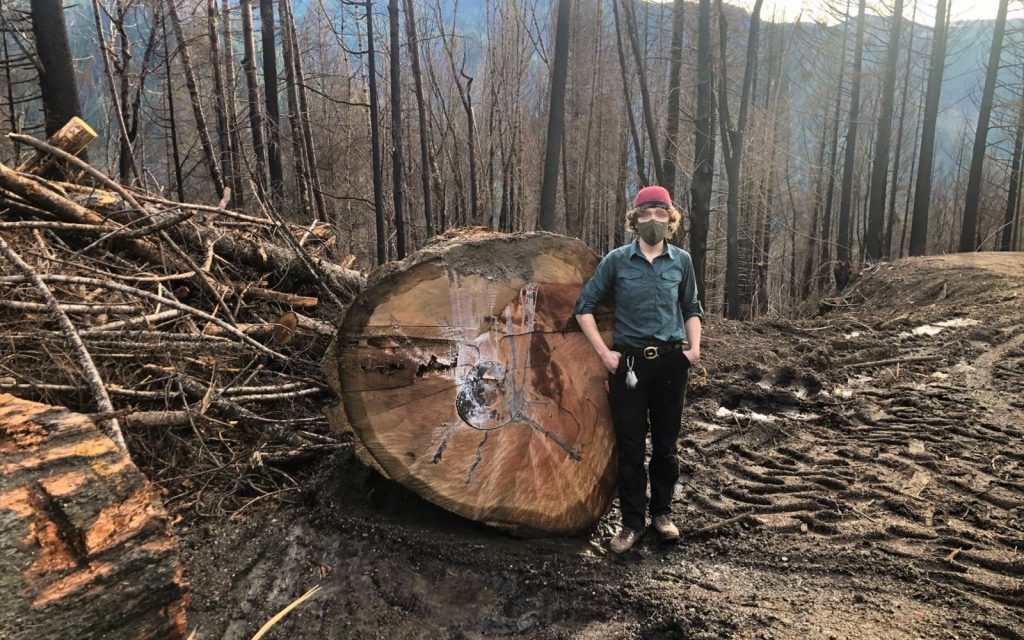Press Release: Lawsuit filed challenging the BLM’s Archie Creek post-fire logging plans