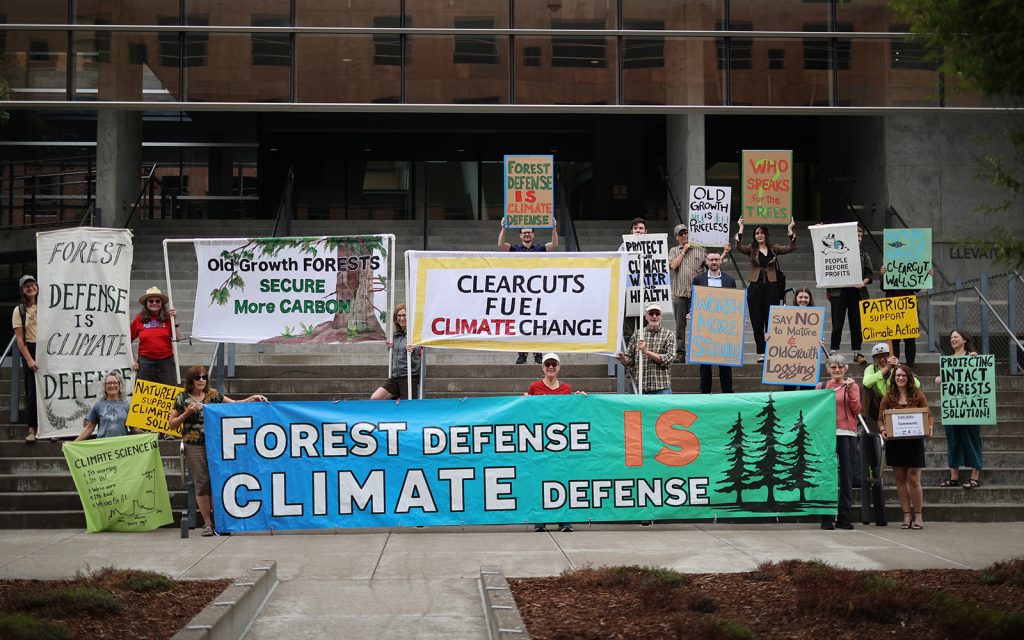 Press Release: Over half a million people call on Forest Service to protect mature, old-growth forests and trees