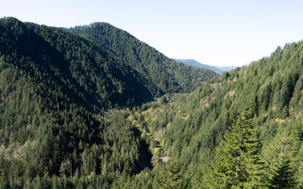Press Release: Lawsuit Launched Against Road Reopening in Oregon’s Tillamook State Forest