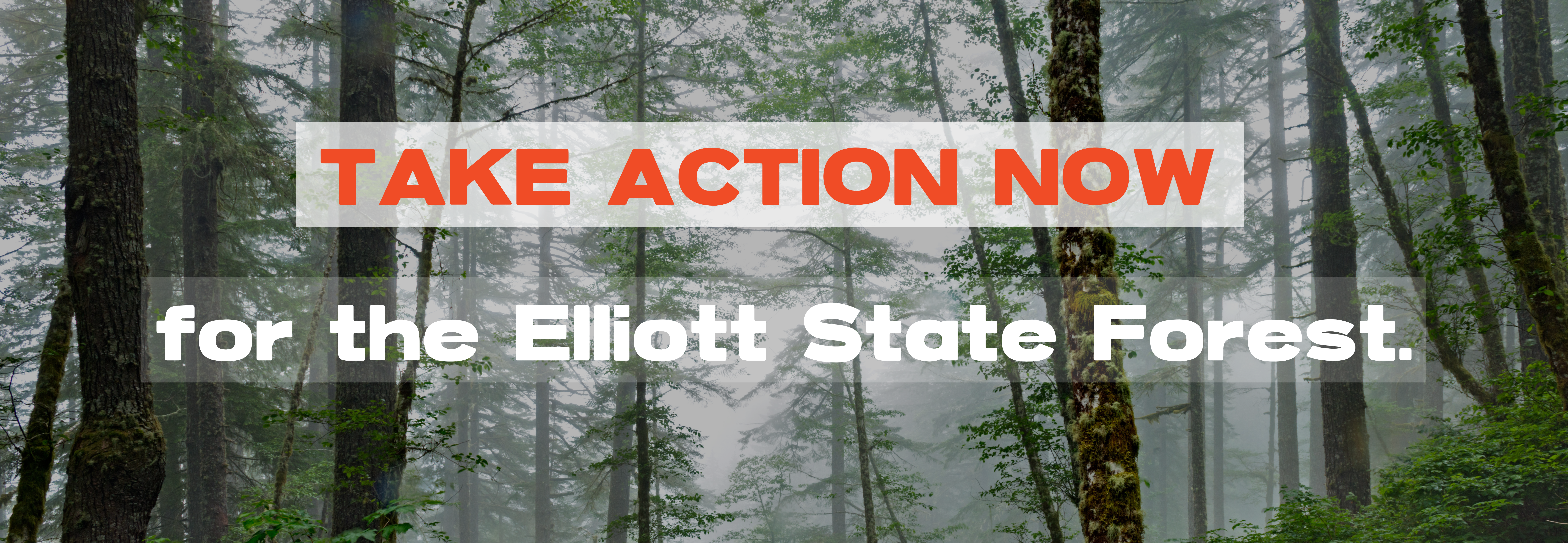 Copy of Copy of Copy of Copy of Copy of SLIDER_TAKE ACTION Future of PNW Forests (2600 x 900 px) (2)