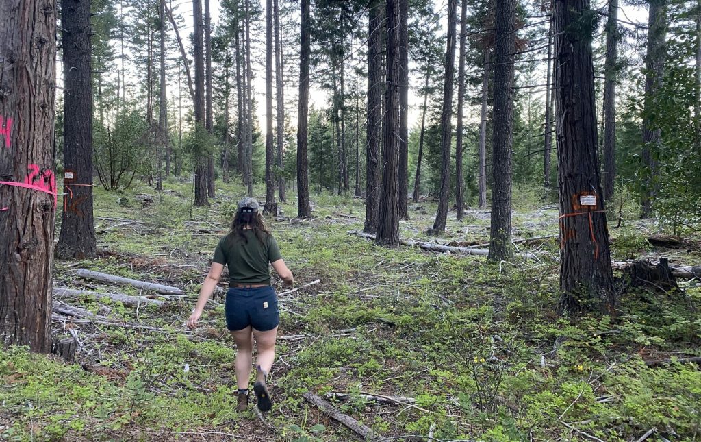 BLOG: A Win for Wildfire Resilience