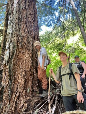 WIldCATs field check the Divide Timber Sale.