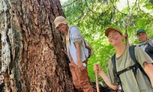 WildCATs field check the Divide Timber Sale.