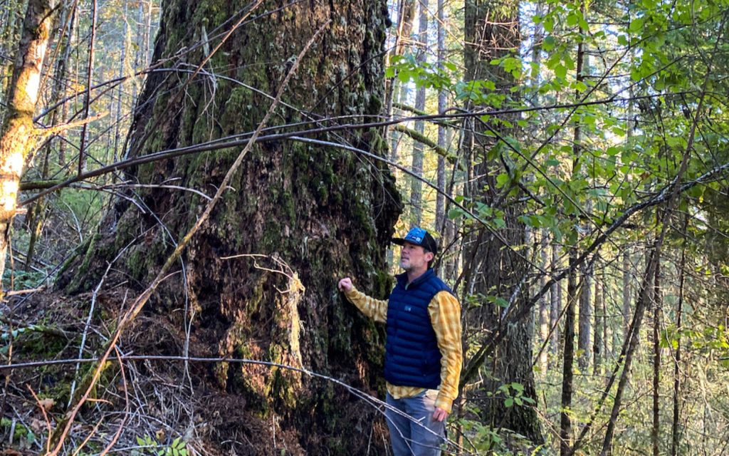 Conservation Groups Challenge Bureau of Land Management SW Oregon Old-Growth Timber Sale