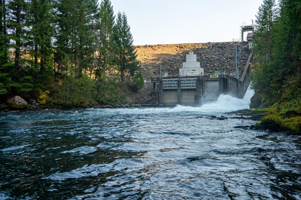 Advocates Ask Feds to Make EWEB Consider Volitional Fish Passage at Trail Bridge Dam