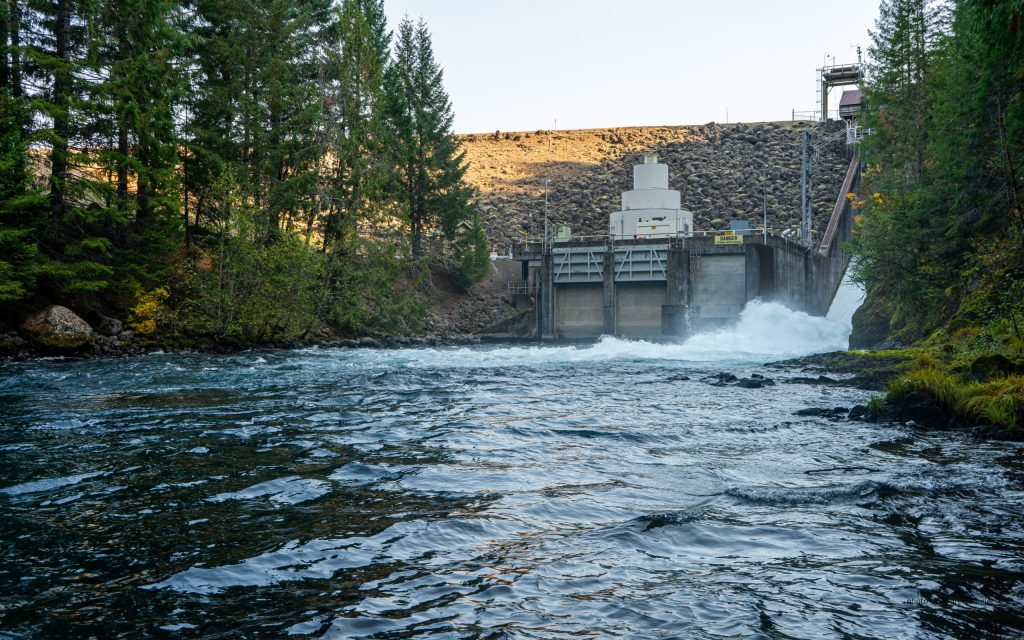 Eugene Water and Electric Board Violating Endangered Species Act