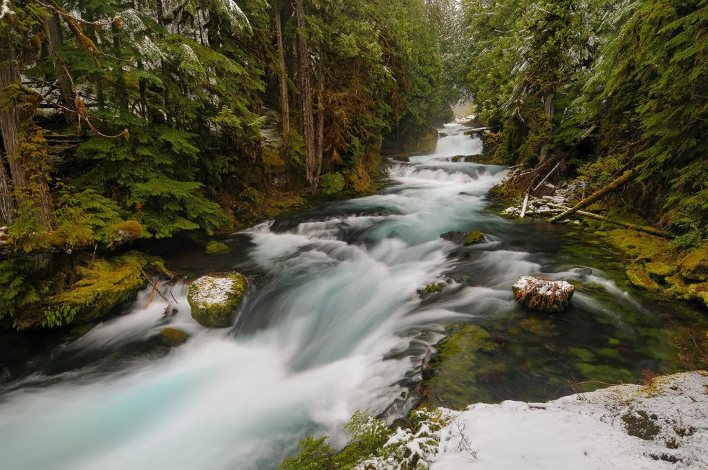 Press Release: Eugene Water and Electric Board’s Unanimously Votes to Decommission Leaburg Hydroelectric Project on the McKenzie River