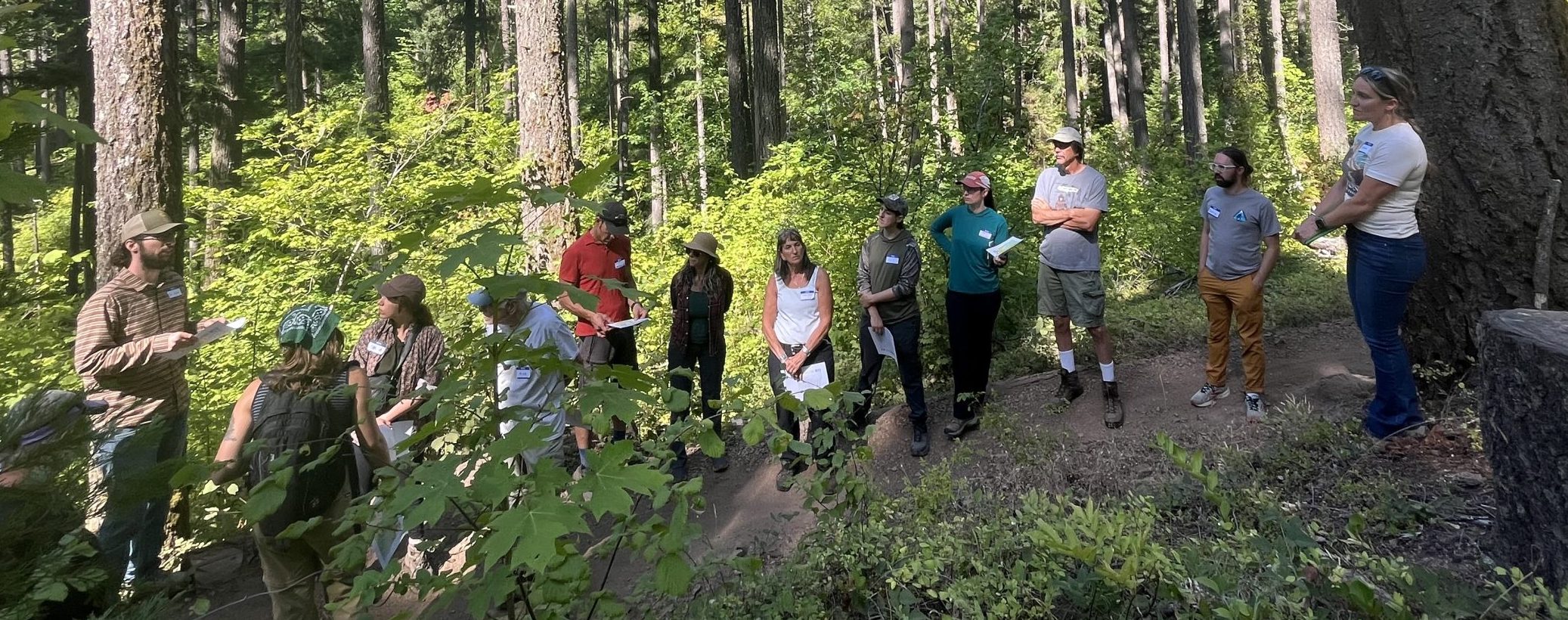 People standing in a forest