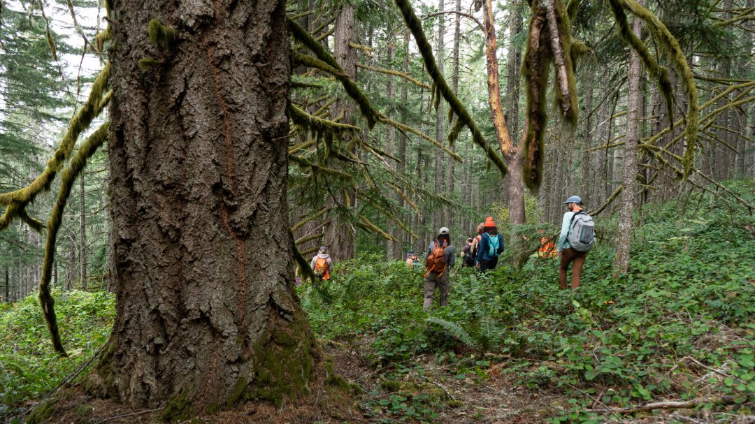 WildCATs walking through the Blue and Gold project.