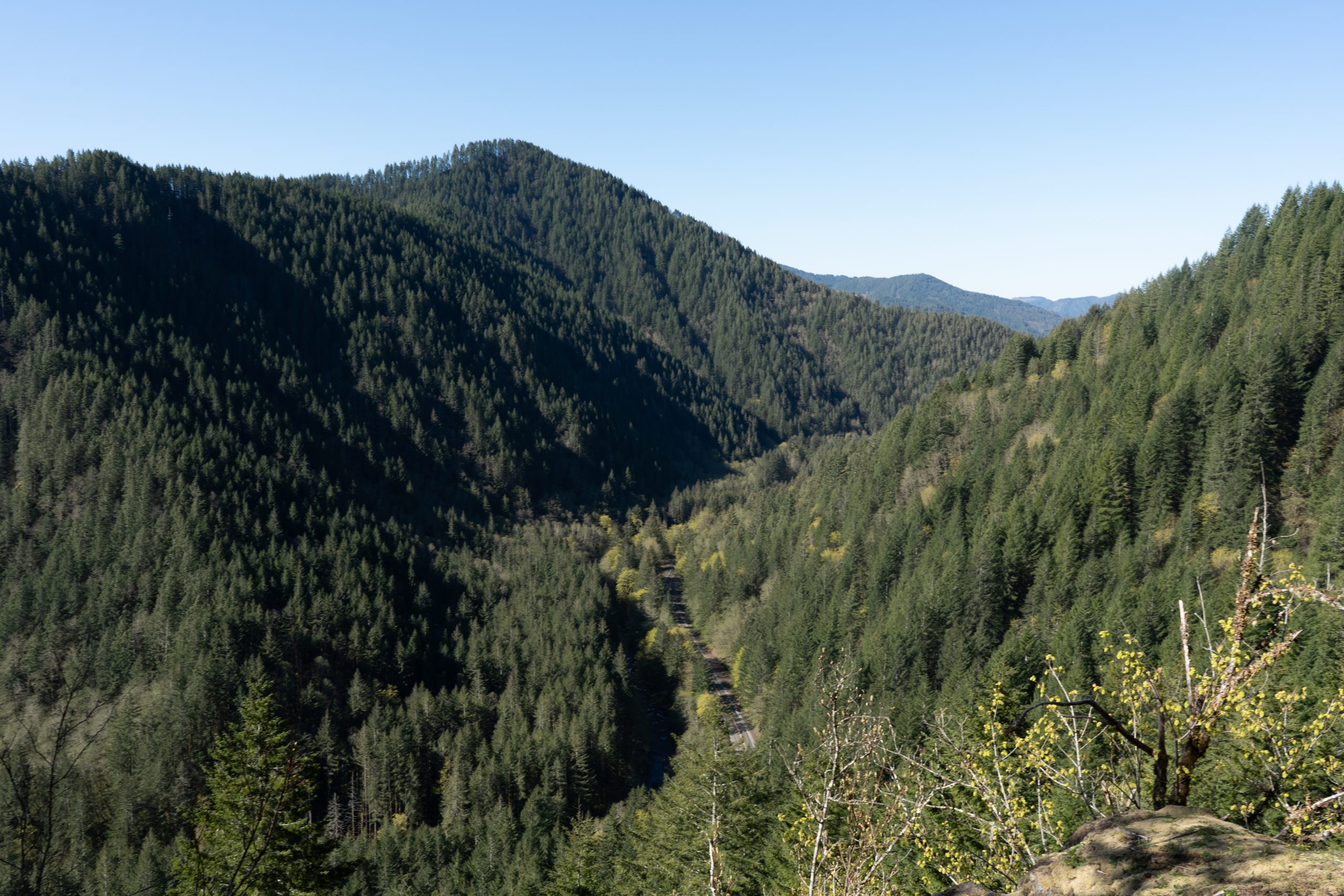 A view of Highway 6 winding through the Tillamook State Forest in the northern Oregon Coast Range.